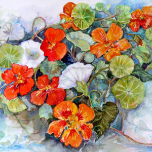 Watercolour