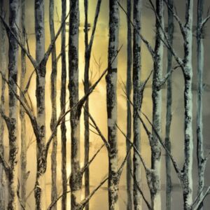 Sue Eaton Near Far by Sue Eaton - ink on aluminium