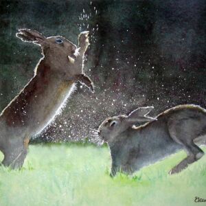Boxing Hares Boxing Hares