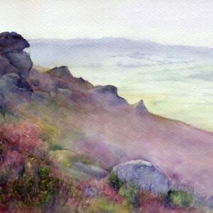 Discovered Discovered