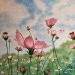 Cosmos Field by Julie Iveson