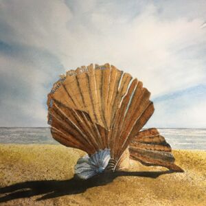 Scallop at Aldeburgh Scallop at Aldeburgh