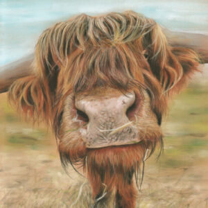 Pastels Nosey Cow by Trudy Harman