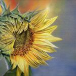 Sunflower by Trudy Harman