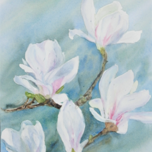 Watercolour Magnificent Magnolias by Frances Barthorpe