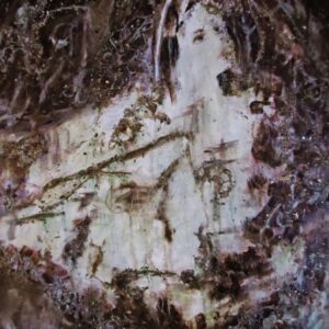 Acrylics Dreaming by Rhoda Gradley