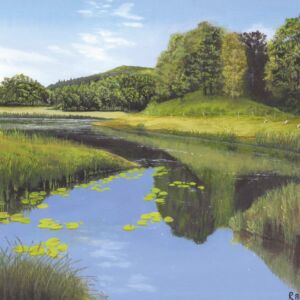 Acrylics Serene Lake by Ray Blissitt