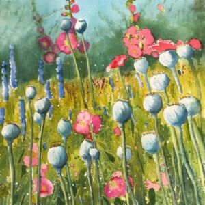 Watercolour Poppy seed heads by Clare Powell