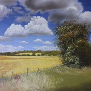 Oil Fields in harvest by Joe Stevens