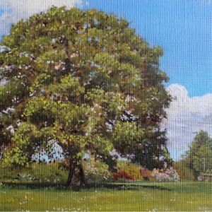 The oak of Carlton Park by Joe Stevens