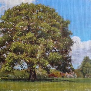Oil The oak of Carlton Park by Joe Stevens