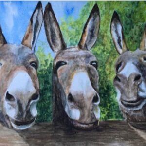 Watercolour Donkeys by Di Fackerall