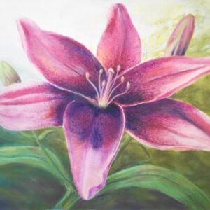 Soft pastel Dorothea's Lily by Di Williamson
