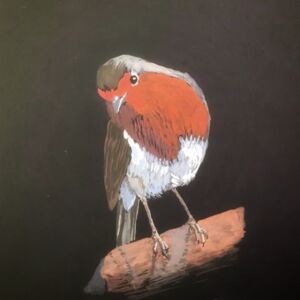 Watercolour Robin by Rosemary Bayliss