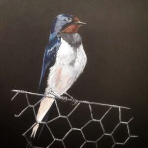 Swallow by Rosemary Bayliss