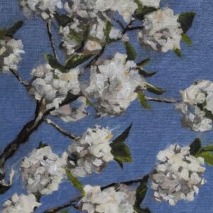 Oil Cherry Blossom by Andrew Coleman