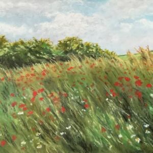 Poppies at Wiveton by Sarah Bourne