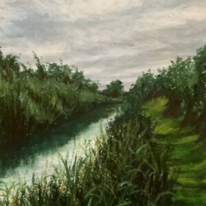 Wicken Fen by Sarah Bourne
