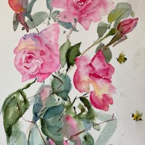 Roses by Claire Weeks