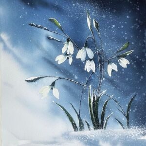 Snowdrops by Julie Iveson Snowdrops by Julie Iveson