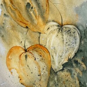 Watercolour Chinese lanterns in green by Catherine Potter