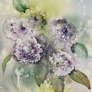 Watercolour Hydrangeas in purple by Catherine Potter