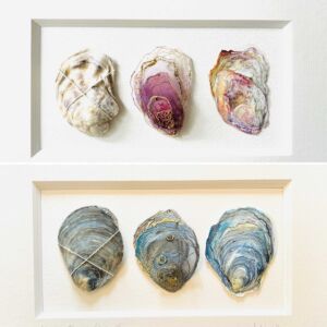 Oyster Studies by Alex Waylett